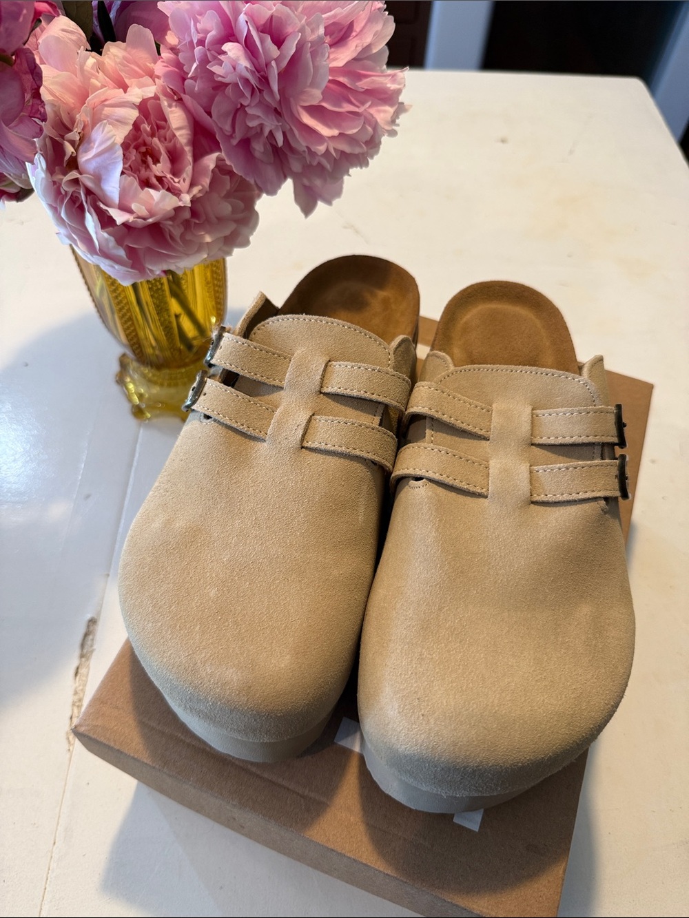 New in Box Project Cloud Stephi Nude Leather Clogs